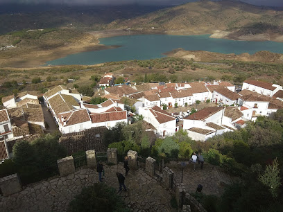 fotografía  Jardín de Los Pinsapos Parque en Zahara de la Sierra