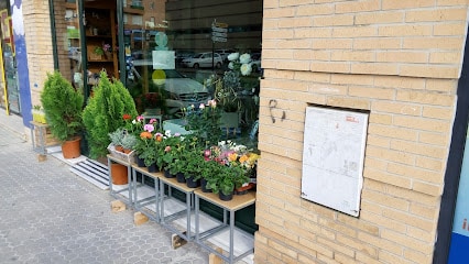 fotografía  La Azucena Floristería en El Puerto de Sta María