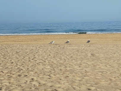 fotografía  La Barrosa Balneario público en Chiclana de la Frontera