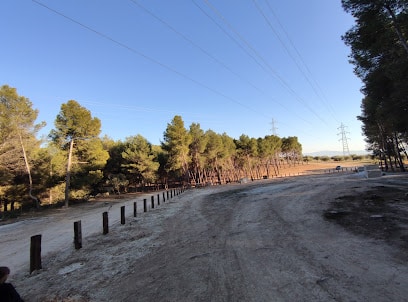 La Moleona Zona de pícnic