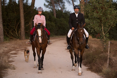 fotografía  La Parra Horses Tienda ecuestre en Jerez de la Frontera