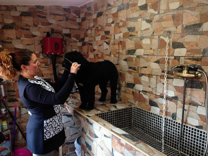 La Pelu De Menta Peluquero de mascotas