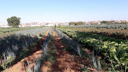 fotografía  La Reverde Cooperativa agropecuaria en Jerez de la Frontera