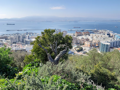 fotografía  Laboratorio Cepsa de Gibraltar-San Roque Laboratorio en San Roque