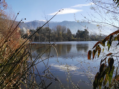 Laguna de Padul