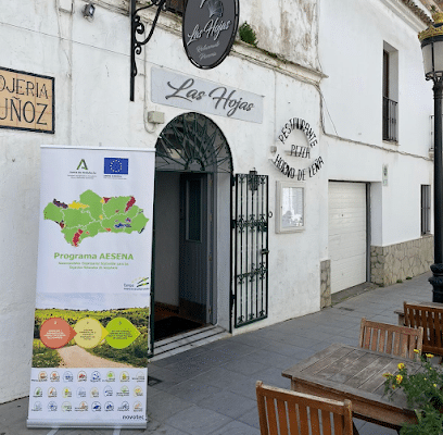 fotografía  Las Hojas Restaurante italiano en Tarifa