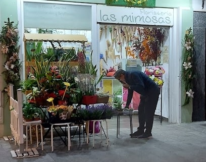 fotografía  Las Mimosas Floristería en Chiclana de la Frontera