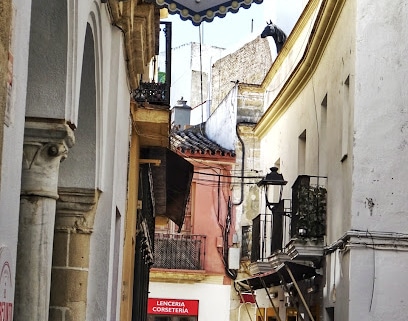 fotografía  Librería El Laberinto Librería en Jerez de la Frontera