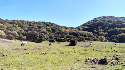 fotografía  Llanos Del Campo Parque en Grazalema