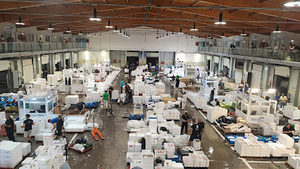 fotografía  Lonja Puerto Santa Maria Lonja de pescado en El Puerto de Sta María