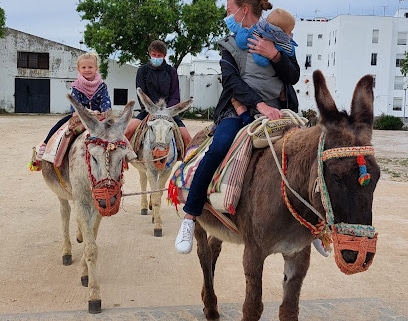 fotografía  Los Burros De Juanino Servicio de paseo en carruaje en Vejer de la Frontera