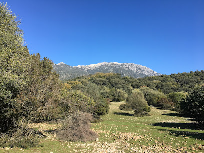 fotografía  Los Llanos de Berral Zona de senderismo en Grazalema