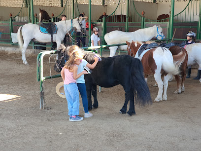 Mascotario Escuela de equitación