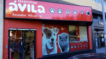 fotografía  Mascotas Ávila Cadiz Asdrúbal Tienda de animales en Cádiz