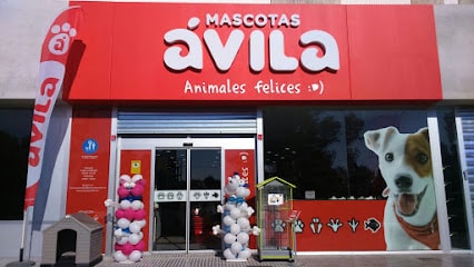 fotografía  Mascotas Ávila Chiclana Rana Verde Tienda de animales en Chiclana de la Frontera