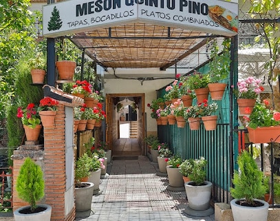 Mesón Quinto Pino Bar