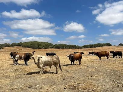 fotografía  Nuñez Del Cuvillo Ganadero en Los Naveros