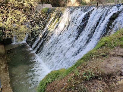 PISCIFACTORÍA AGUASMULAS Piscifactoría