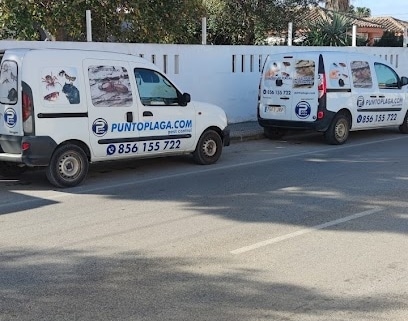 fotografía  PUNTO PLAGA Empresa de fumigación y control de plagas en Chiclana de la Frontera