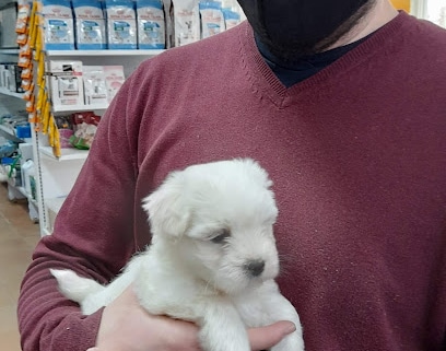 fotografía  Pajareria Avícola de Camacho Tienda de animales en Sanlúcar de Barrameda