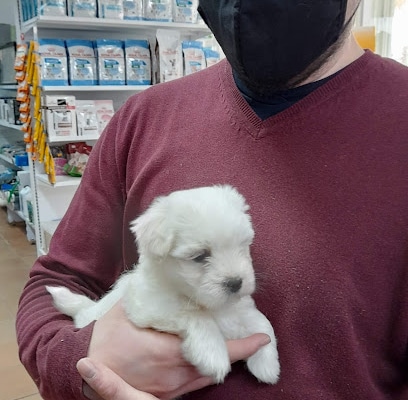 fotografía  Pajareria Avícola de Camacho Tienda de animales en Sanlúcar de Barrameda