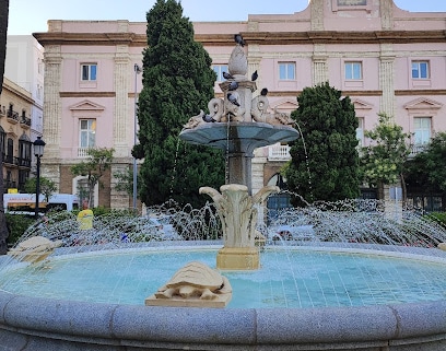 fotografía  Palacio Diputación (Antigua Aduana) Museo en Cádiz