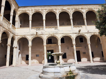 fotografía  Palacio de los Enríquez de Ribera Castillo en Bornos