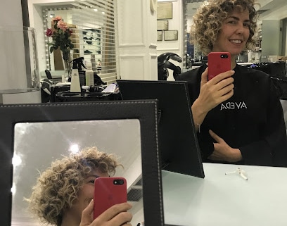 Panizza Stylist. Centro Aveda Centro de estética