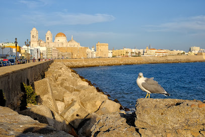 fotografía  Parking Campo del Sur Aparcamiento en Cádiz