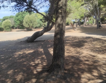 fotografía  Parking La Jungla Aparcamiento en Barbate