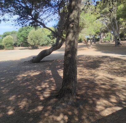 fotografía  Parking La Jungla Aparcamiento en Barbate