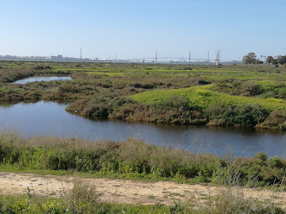 fotografía  Parque Natural Bahía de Cádiz Parque nacional en Chiclana de la Frontera