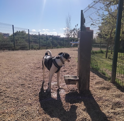 Parque canino de Villablanca Parque para perros