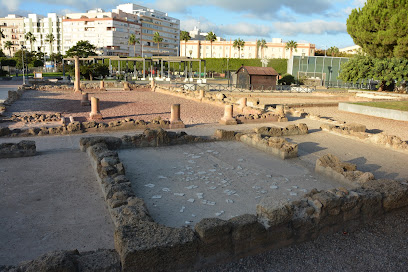 fotografía  Parque de Erytheia | Jardines de Varela Norte Parque en Cádiz