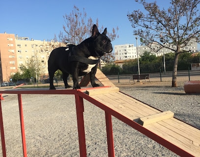 Parque para Perros La Virgencica Parque para perros