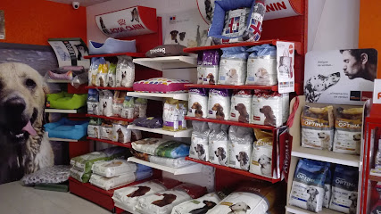 Peluqueria Canina Como El perro y el Gato Peluquero de mascotas