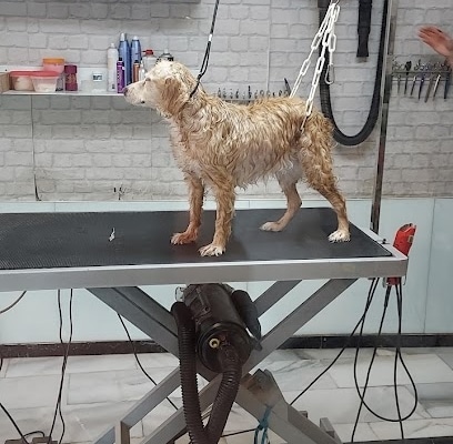 Peluqueria Canina y Felina ZOE Peluquería