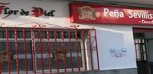 fotografía  Peña Sevillista de Ubrique Asociación sociocultural en Ubrique