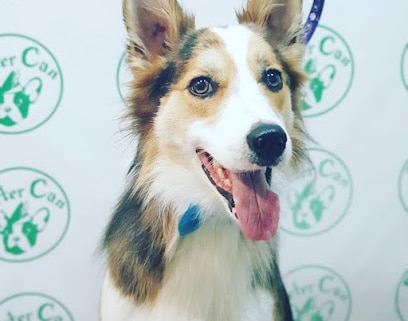 fotografía  Peter can ( Calzada de la Infanta) Peluquero de mascotas en Sanlúcar de Barrameda