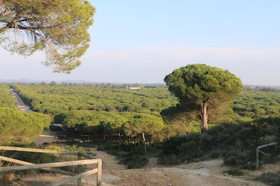 fotografía  Pinar de hierro Parque en Chiclana de la Frontera