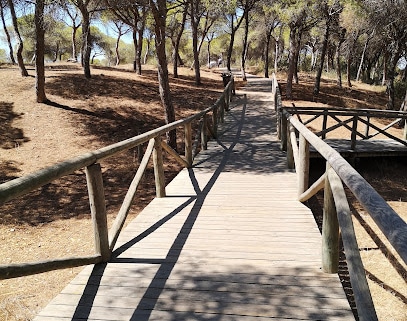 fotografía  Pinares De Rota Parque local en Rota