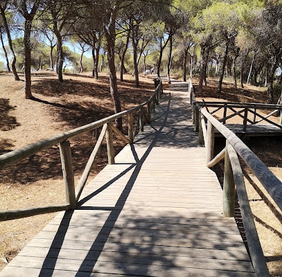 fotografía  Pinares De Rota Parque local en Rota