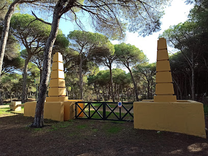 fotografía  Pinares y Dunas de San Antón Parque ecológico en El Puerto de Sta María