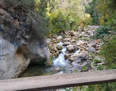 Piscifactoría Río Borosa Piscifactoría
