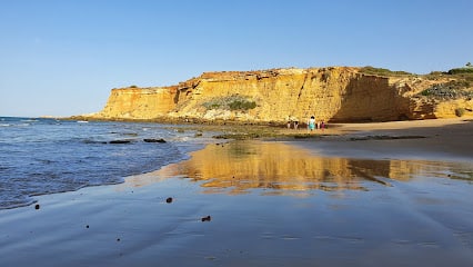 fotografía  Playa Fuente del Gallo Servicio de limpieza de playas en Conil de la Frontera