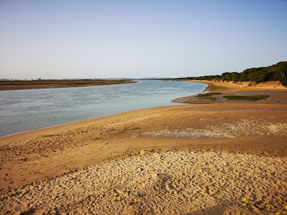 fotografía  Playa Río San Pedro Parque en Puerto Real