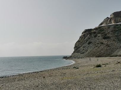 Playa Salmonete playa