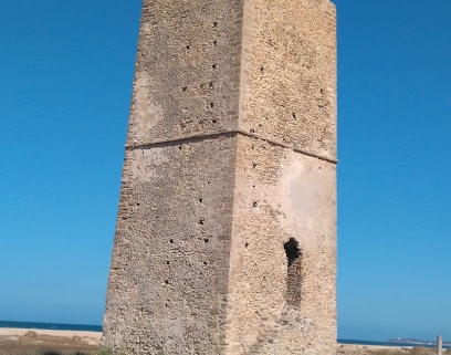 fotografía  Playa de Castilnovo Pabellón para playa en Conil de la Frontera