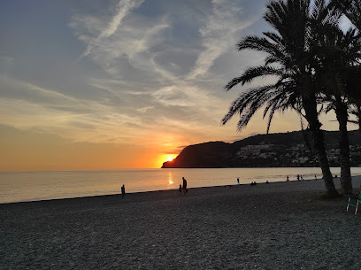 Playa de La Herradura playa