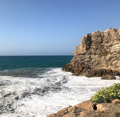 Playa de la Araña playa
